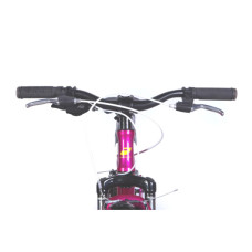 Велосипед Formula 20" BLACKWOOD Vbr FR рама-11" AL 2026 малиновий (OPS-FR-20-106)