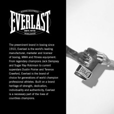 Боксерські рукавички Everlast 1910 Classic Training Glove P00002503 коричневий 16 унцій (009283610326)