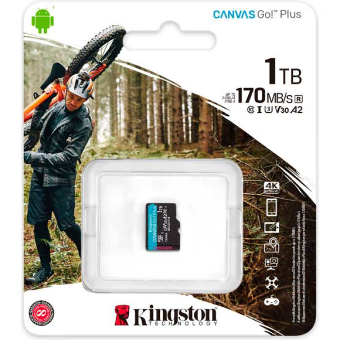 Карта пам'яті Kingston 1TB microSDXC сlass 10 UHS-I U3 V30 A2 Canvas Go Plus G4 (SDCG4/1TBSP)