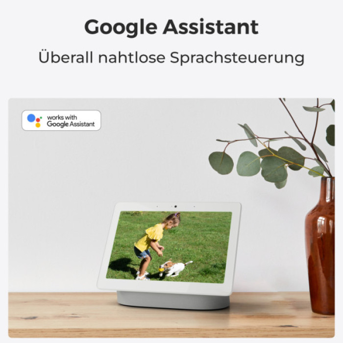 Камера відеоспостереження Reolink E320 (E1) (E320)