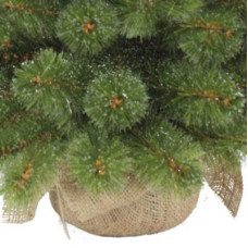 Штучна сосна Triumph Tree Forest Frosted зелена 0,9 м (8717669551881)