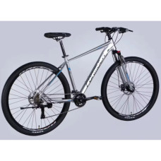 Велосипед Formula 29" ZEPHYR 3.0 DD рама-19" AL 2026 срiблястий (OPS-FR-29-443)