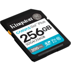 Карта пам'яті Kingston 256GB SDXC сlass 10 UHS-I U3 V30 Canvas Go Plus G4 (SDG4/256GB)