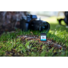 Карта пам'яті Kingston 256GB SDXC сlass 10 UHS-I U3 V30 Canvas Go Plus G4 (SDG4/256GB)