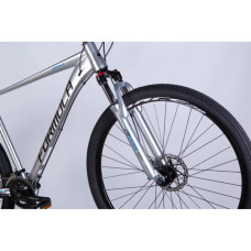Велосипед Formula 29" ZEPHYR 3.0 DD CS рама-21" AL 2026 срiблястий (OPS-FR-29-446)
