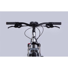 Велосипед Formula 29" ZEPHYR 3.0 DD CS рама-21" AL 2026 срiблястий (OPS-FR-29-446)