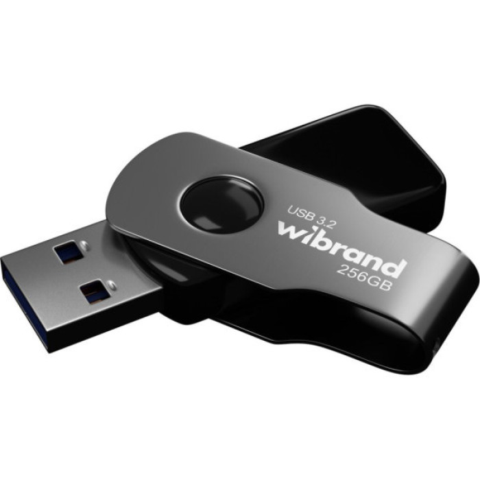 USB флеш накопичувач Wibrand 256GB Lizard Black USB 3.2 (WI3.2/LI256P9B)
