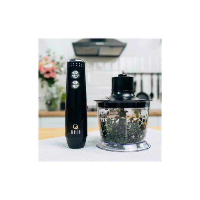 Блендер QUIN HB-103