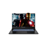 Ноутбук Dream Machines RG5060-17 (RG5060-17UA27)