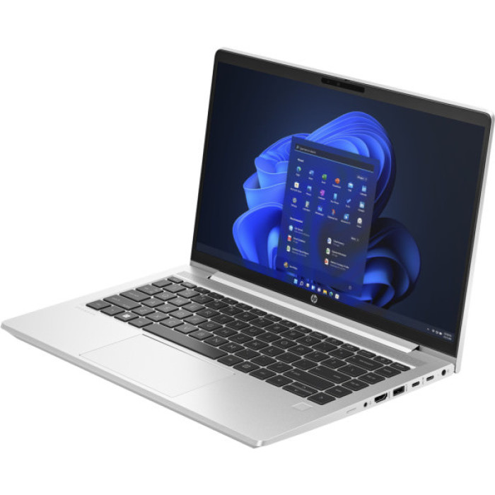 Ноутбук HP ProBook 440 G10 (8D4U6ES)
