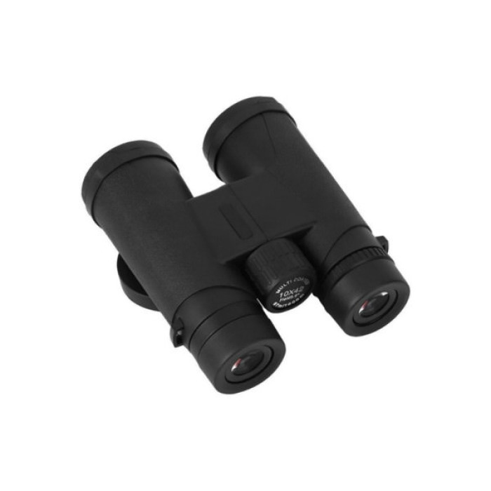 Бінокль Voltronic LD214 10x42 (YT-BLD214)