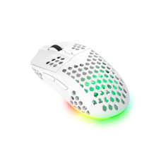 Мишка Trust GXT 929 Helox Wireless/USB-A White (25390)