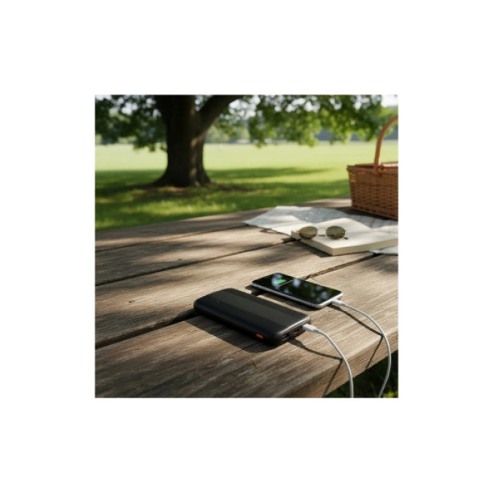 Батарея універсальна AWEI 10000mAh P20K, 12W, Black (6954284009744)